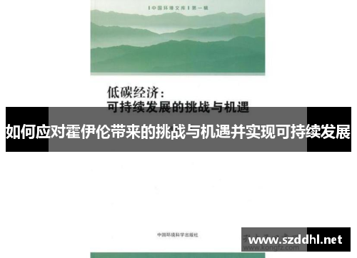 如何应对霍伊伦带来的挑战与机遇并实现可持续发展